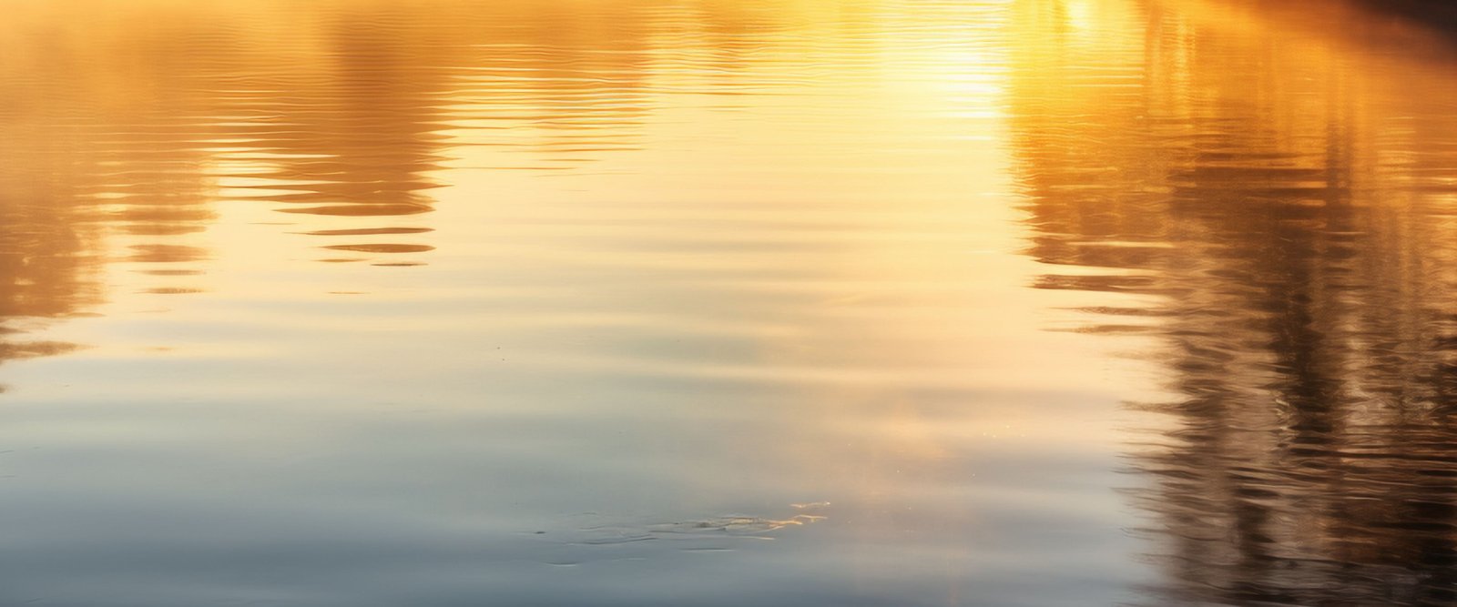 Experience Background